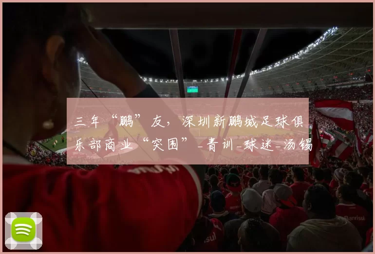 三年“鹏”友,深圳新鹏城足球俱乐部商业“突围”_青训_球迷_汤锡钢