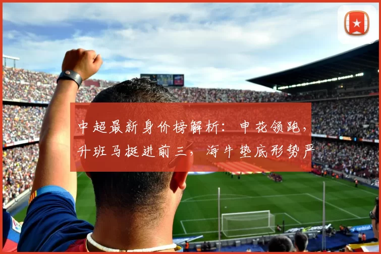 中超最新身价榜解析：申花领跑，升班马挺进前三，海牛垫底形势严峻_欧元_赛季_实力