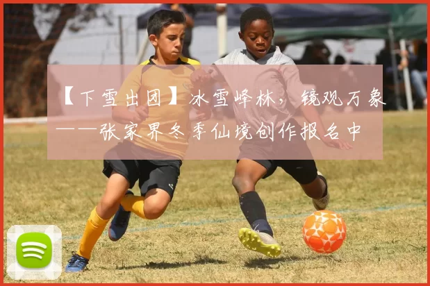 【下雪出团】冰雪峰林，镜观万象——张家界冬季仙境创作报名中