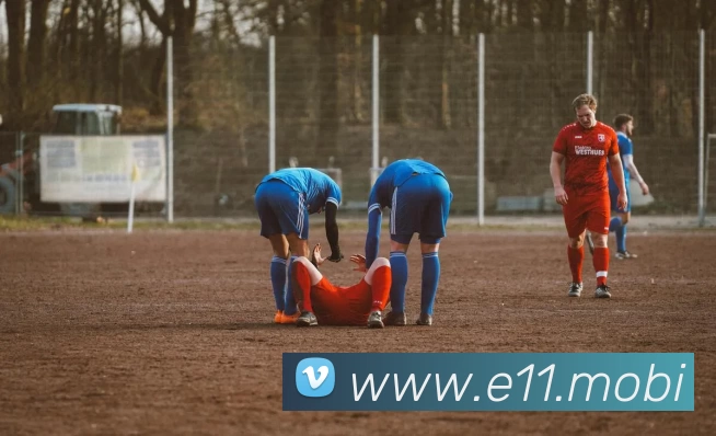 开云(中国)Kaiyun·官方网站 - 登录入口平台生态图